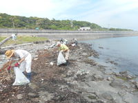2019年　春　海岸清掃　御前崎海洋クラブ