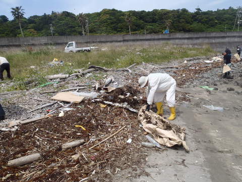 御前崎海洋クラブ　２０１７年　春の海岸清掃
