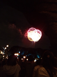 ディズニーシー！