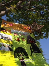 おさんぽてん　うえをむいてあるこう