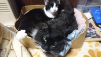 ブログ再開します