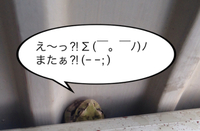 申し訳ないんだけど(^^;;