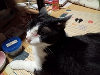 久しぶりの投稿です