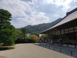 夏の京都♪