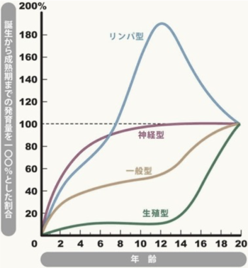 スキャモンの発育発達曲線