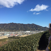 お城めぐり