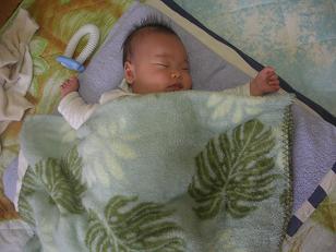 春は、眠いのだぁ・・・