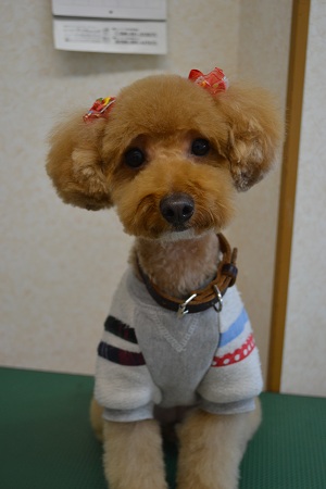 いちごちゃんです!(^^)!