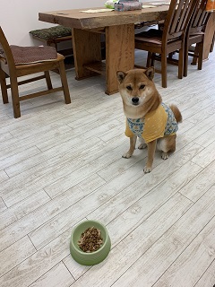 今日は、Black　Suturdayになっちゃいました～！！