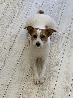 寒いわけだわ、今シーズン初氷が張りました～！！