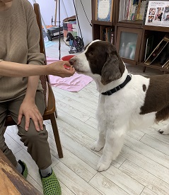 よだれ王子と、よだれ姫の出会い！？