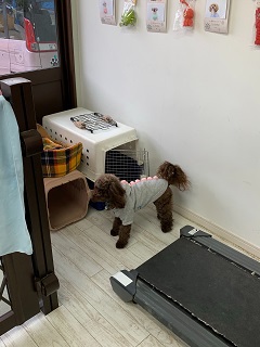 にぎやかな大晦日が更けていきます！！