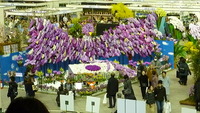 世界らん展２０１２