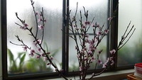 天神様