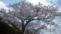 牧の原公園