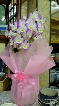 わが店のお花たち