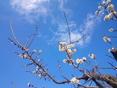 春はすぐそこ