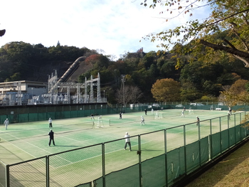 静岡 県 テニス 協会