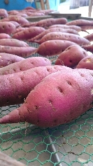 食欲の秋☆