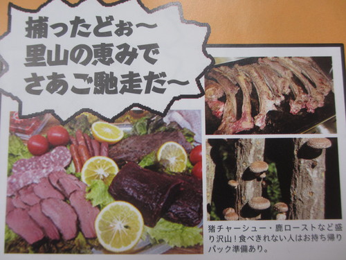春*里山はく紹介します.....続き。