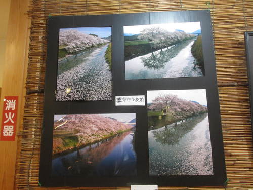 展示ギャラリー.....写真に変わりました。