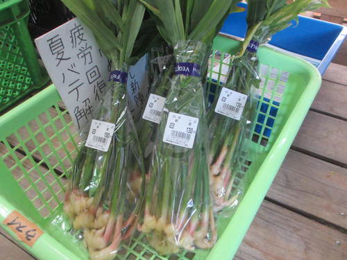 バナーネ知ってますか？