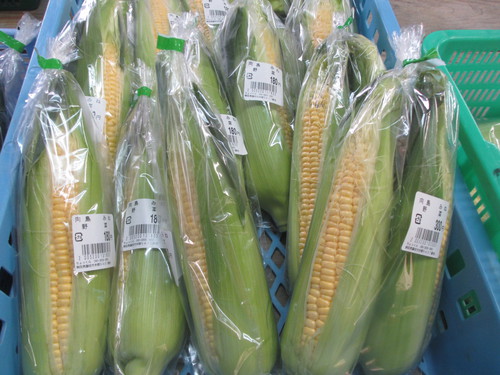 今朝の農産物直売所ちょっくら！