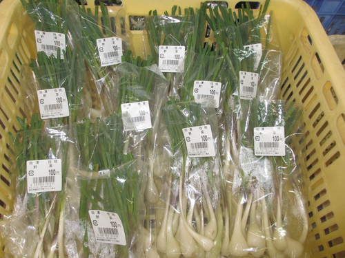 今朝の農産物直売所ちょっくら！