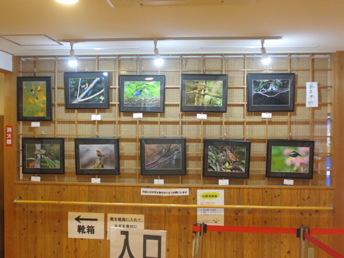 展示ギャラリー写真が交換されました！