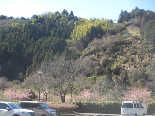 早～い！のか？