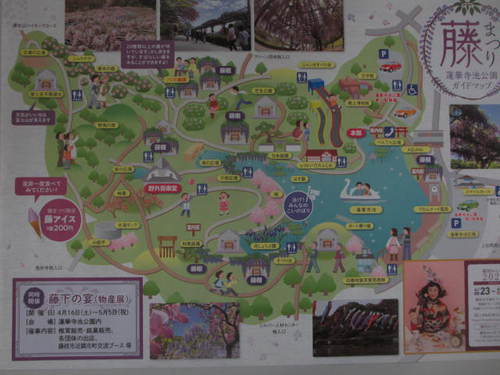 蓮華寺池公園(藤まつり) 蓮華寺池公園(藤まつり)