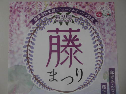 蓮華寺池公園(藤まつり) 蓮華寺池公園(藤まつり)
