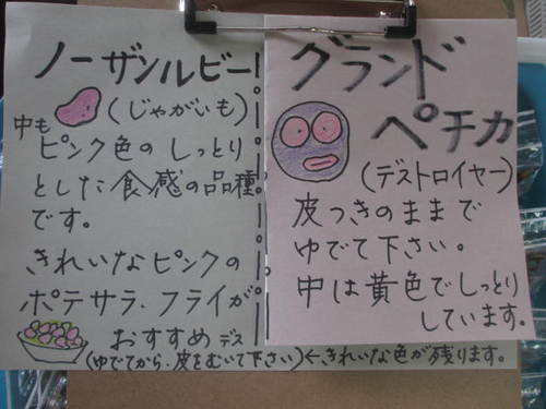 デストロイヤ～‼