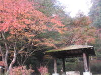 不動峡紅葉祭り