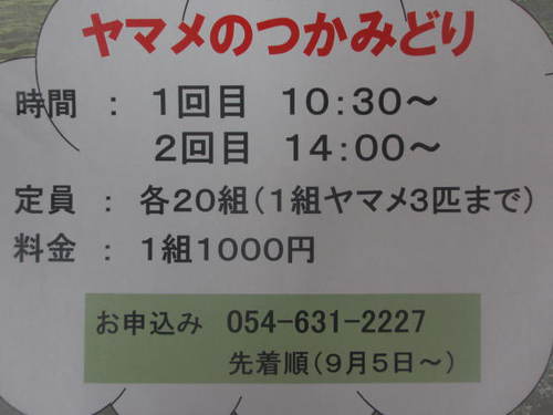 来週のイベントだよ！
