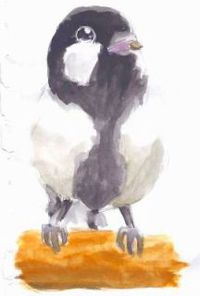 親子野鳥巣箱作り（11/2）