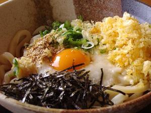 土佐うどん　源水