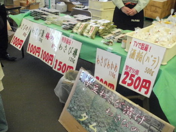 河津桜と金目鯛