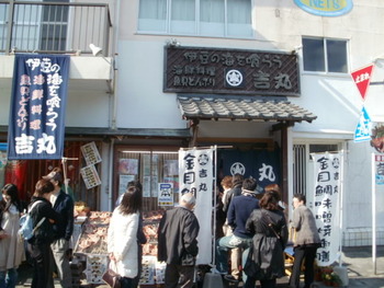 河津桜と金目鯛