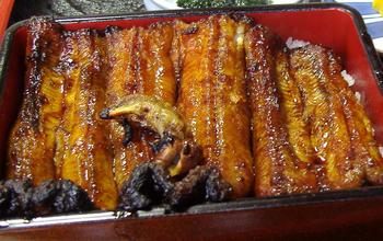 今日から発売！天然うなぎの蒲焼き