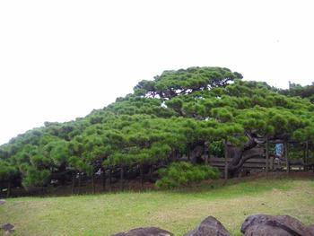 久米島へ・・・