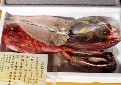 駿河湾の干物は美味しいね