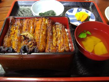 今日から発売！天然うなぎの蒲焼き
